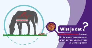 Paardenarts.nl strategisch ontwormen winter