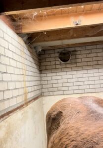 Afb. voorbeeld van onvoldoende ventilatie op stal