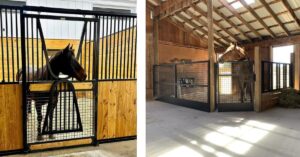 Paardenarts.nl - Commissie Welzijn Paard_Afb. voorbeeld van boxdeuren met gaas voor zicht laag bij de grond (Pinterest) - Huisvesting van paarden