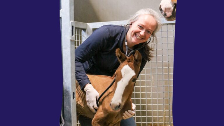 Ataxie bij paarden ontrafeld