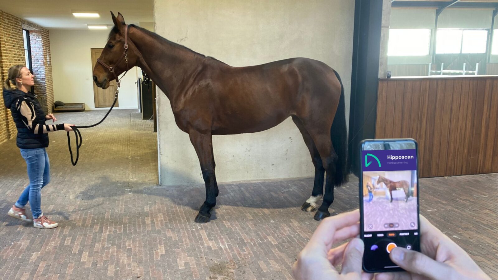 Paardenarts.nl - Hipposcan - bepaal het gewicht vban je paard zonder weegschaal