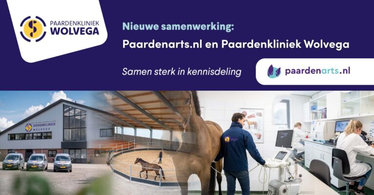 Nieuwe samenwerking: Paardenarts.nl en Paardenkliniek Wolvega
