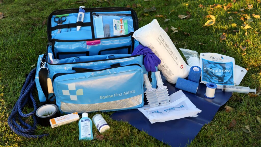 Online EHBO-instructie Equine First Aid Kit