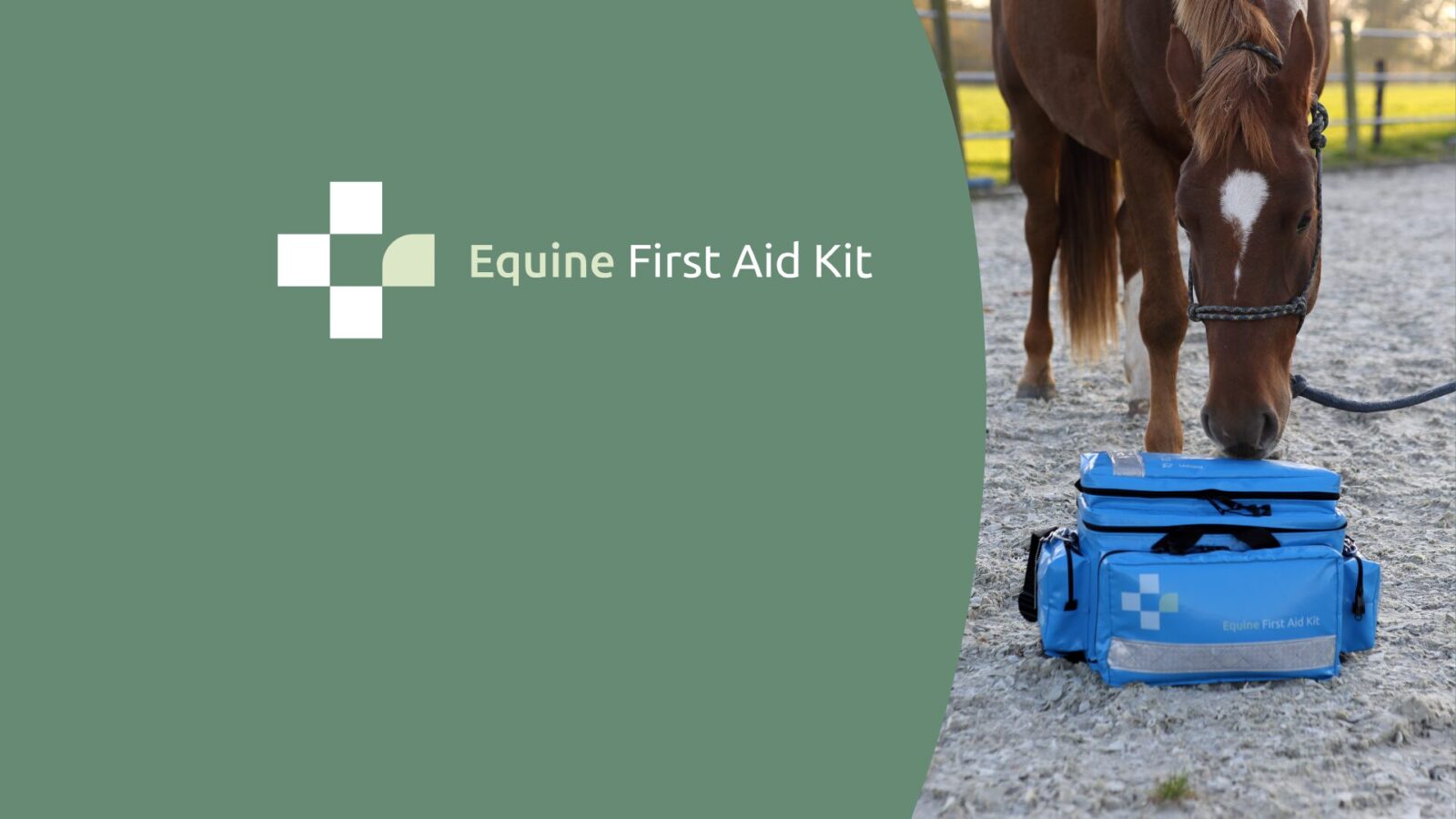 Online EHBO-instructie header logo midden