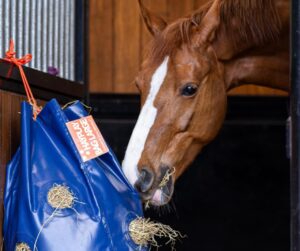 Gezond en tevreden paard dankzij de HayPlay Slowfeeders van Horse Originals