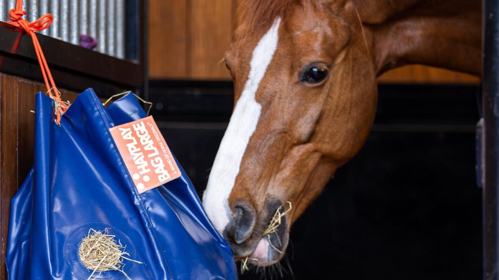Horse Originals HayPlay Bag artikel header