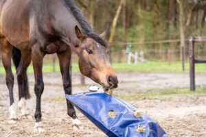 Horse Originals - HayPlay Bag paard eet in de paddock 2