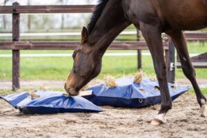 Horse Originals - HayPlay Bags en ButtonBag met paard in de paddock