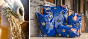 Horse Originals - HayPlay Bags family