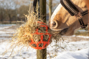 Paardenarts.nl hooi bal voor paarden tegen verveling