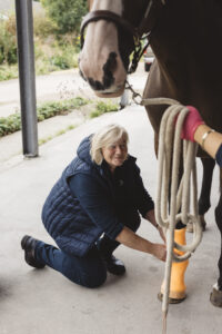 Oude Rijn Paardenarsten erkende paardenarts